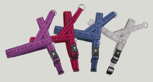 Casual Harnesses