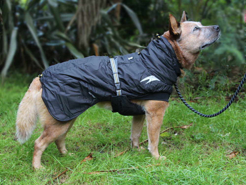Hurtta Summit Parka from Dogs Outside 