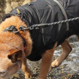 Hurtta Mountain Rope Leash