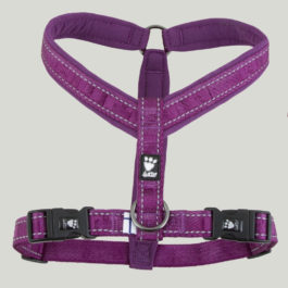 Hurtta Casual Y-Harness