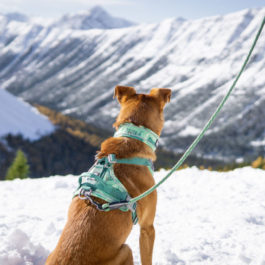 Hurtta Weekend Warrior Rope Leash