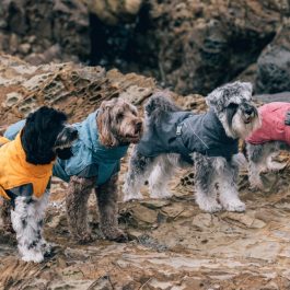 Hurtta Expedition Parka