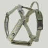 Hurtta Razzle Dazzle Y Harness hedge NZ