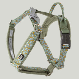 Hurtta Razzle Dazzle Y-Harness
