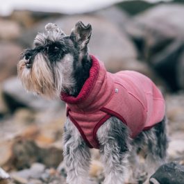 Hurtta Razzle Dazzle Midlayer