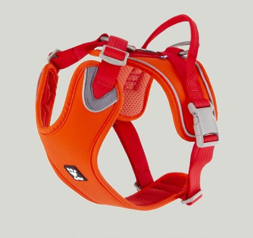 Weekend Warrior Harness rosehip NZ