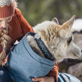 Hurtta Razzle Dazzle Collar