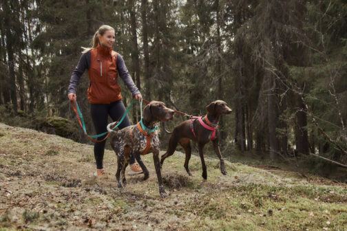 Hurtta Training Vest ECO cinnamon with two dogs NZ