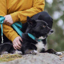 Hurtta Casual Collar ECO