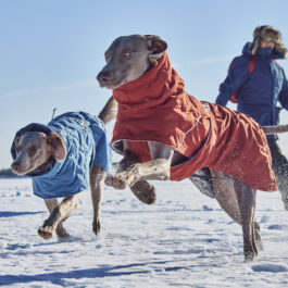 Hurtta Extreme Warmer III ECO