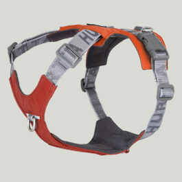 Hurtta Rover Harness